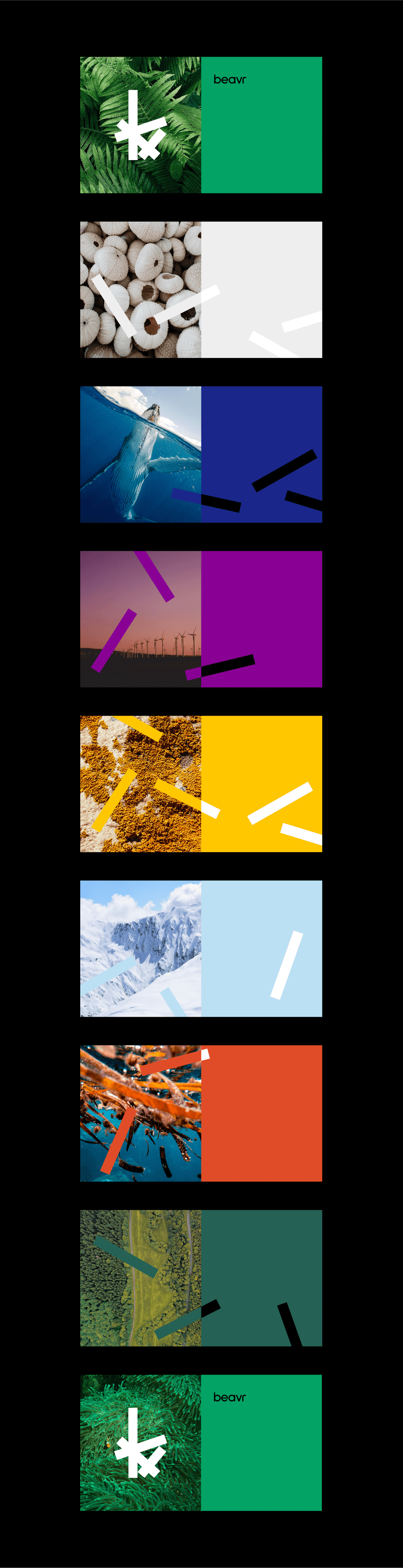 A colorful deck template where Beavr's brand identity is applied